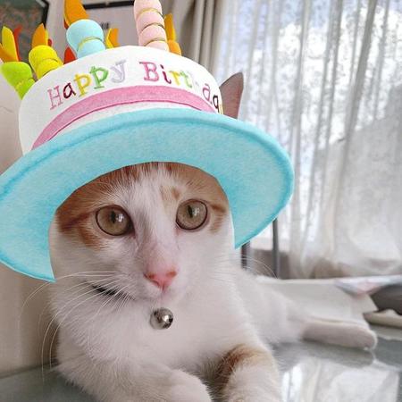 毎日がお誕生日だったらいいのにな