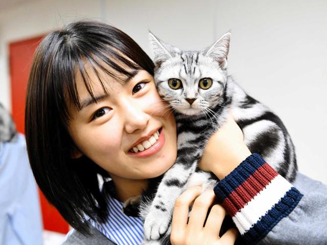 女優・竹内愛紗の愛猫は令和生まれのアメショー…やんちゃで暴れん坊だけど「元気もらってます！」