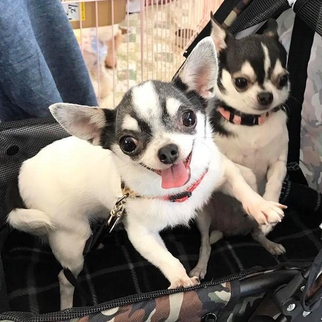 もみじちゃん、満面の笑み！