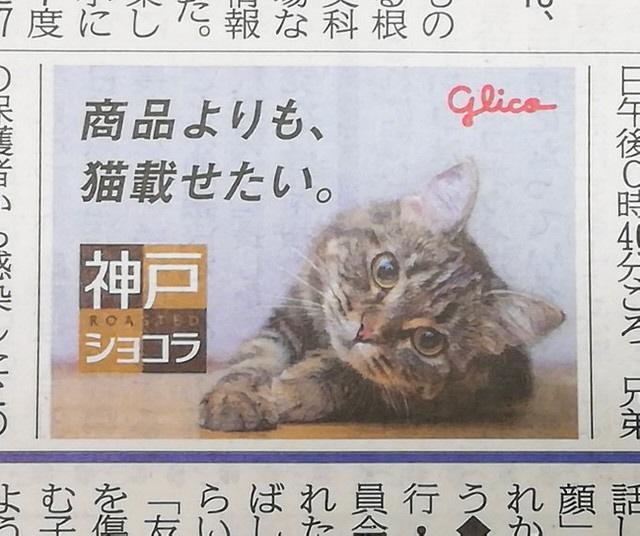 2020年2月22日付・神戸新聞紙面朝刊一面に掲載された、話題の広告