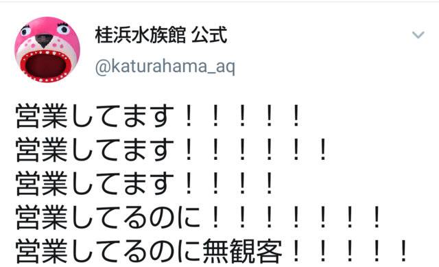 「営業してるのに無観客！！！！」…新型コロナ騒動でも営業続行の水族館が自虐ツイート