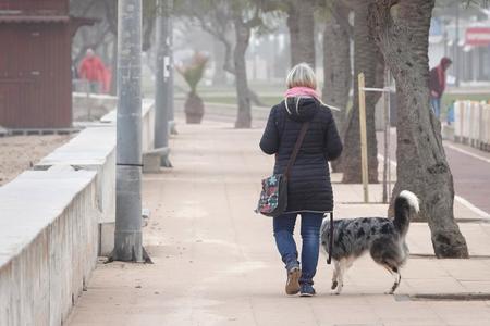 非常事態宣言が出ているスペインで犬と散歩する人（提供＝ＤＰＡ／共同通信社）