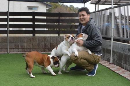 今はブルドックを中心に犬のブリーディングをしている守安さん