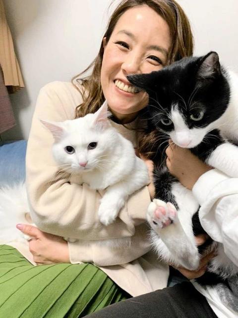 保護したノミだらけの子猫は真っ白な美人猫に　やんちゃな弟猫と元気いっぱい…ボートレーサー・香川素子