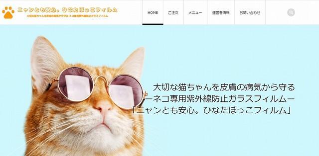 猫だって過度の紫外線は大敵なんだニャ