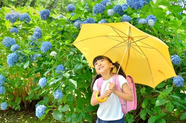 雨の日対策…みなさんどうしてますか？（hanapon1002/stock.adobe.com）