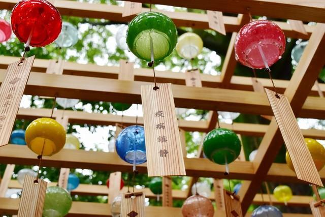 コロナ禍鎮静の祈りを風に乗せ…川越氷川神社が江戸風鈴320個を設置、境内に涼やかな音色響き