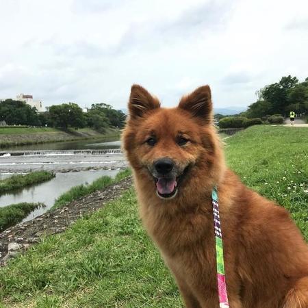 川遊びが大好き！すがすがしい笑顔