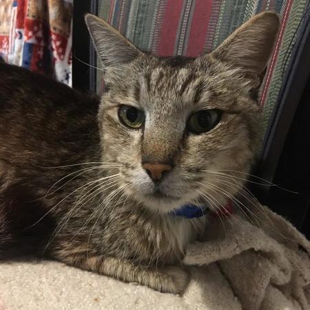 現在11歳のS君、お口が痛いです