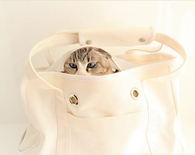 東日本大震災をきっかけに猫専用防災グッズを開発…こちらは避難する際の軽量キャリーバッグ「ねこずきなトート」（提供写真）