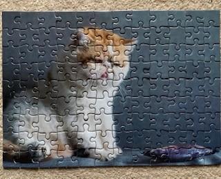 完成したパズル。猫がサケを見ている。