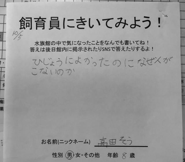 デイリースポーツ