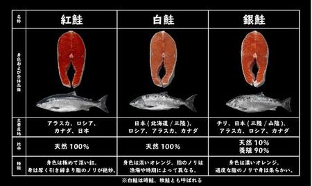 紅鮭と白鮭の流通比率は天然100％！（画像提供：王子サーモン）
