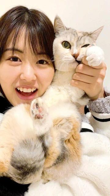 悪性腫瘍に負けない「3本足の天使」　女優・竹内愛紗の愛猫ぴょんちゃんは、右前足切断も元気いっぱい