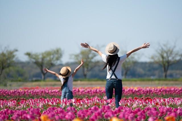 親子2人で日本一周旅行へ…これまで見たことのない風景や人と触れ合うことで、勉強とは違ったものを感じ取ってほしいと考えたのです（hakase420/stock.adobe.com）