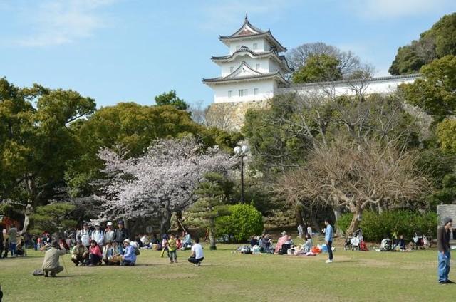 コロナ支援策が群を抜いている明石市、写真は明石城