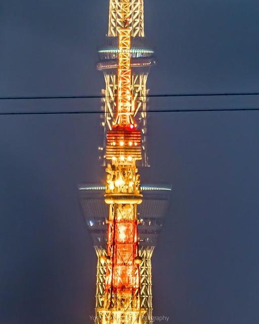 東京スカイツリーと東京タワーが完全に重なる奇跡の写真　撮影者も思わず「手が震えた」