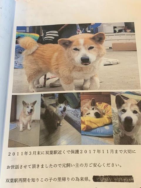 「大切にしましたよ」被災した迷い犬の保護者から、元飼い主へのメッセージ…福島・JR双葉駅のノートが話題