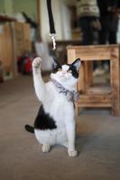 やんちゃ娘で遊ぶのが大好き