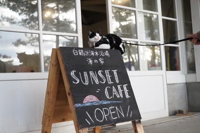 看板の上はお気に入りの場所のひとつ