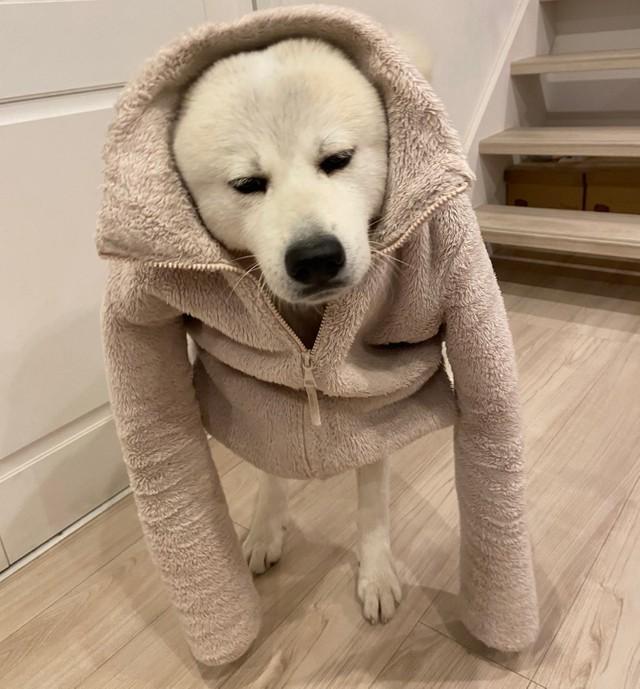 謎の生物があらわれた！？（提供：Sakuraさん）