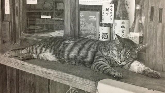 京都・梅宮大社にいた猫（提供・西方由美さん）