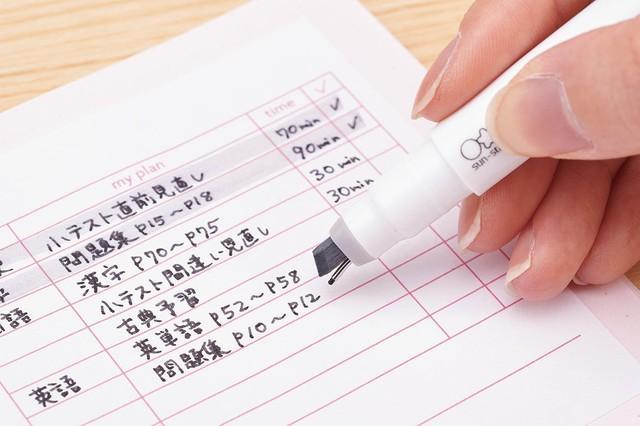 細かい文字は0.5mmのニードルペンで書ける（サンスター文具提供）