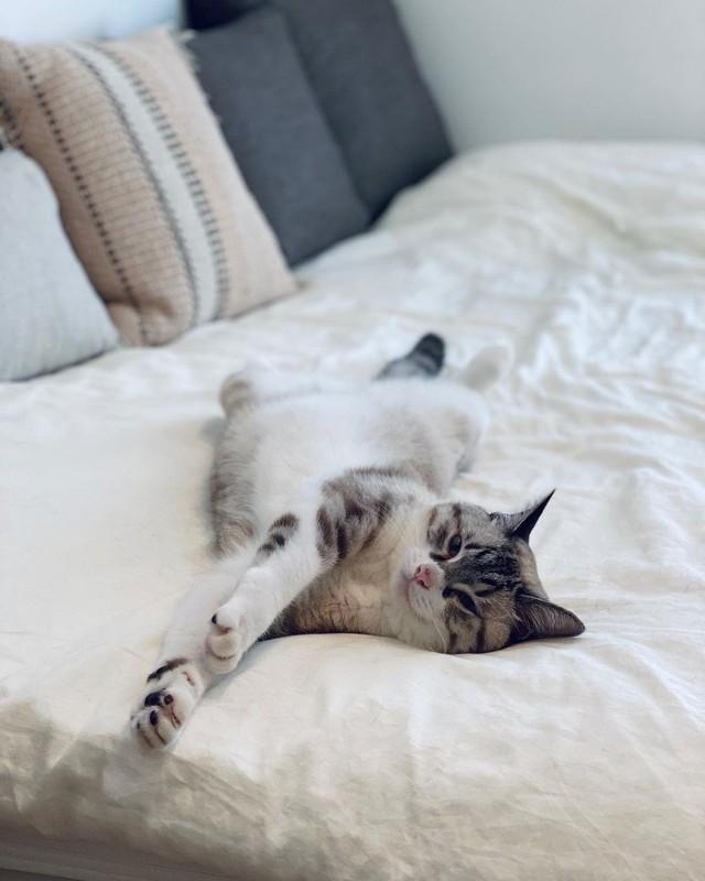 思いっきりくつろぎモード