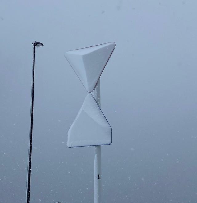 綺麗な三角錐状に雪が付着した標識※ゆけこさん提供