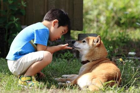 犬と子どもと暮らすということは、子どもにとっても犬にとっても良い経験として心に残ってくれるのではないでしょうか（mannpuku/stock.adobe.com）