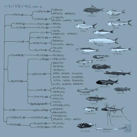 イワシと名前の付く魚がこんなにも…※胡麻さん提供