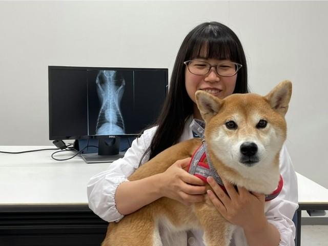 がんで苦しむ犬猫のために「それぞれに合った治療法を見つけたい」　東京農工大の院生、病理検査会社を開業へ