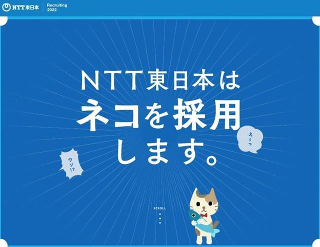 ネコの日にあわせて…NTT東日本が「ネコ採用」をスタート！？　いくら担当者がネコ好きといっても…