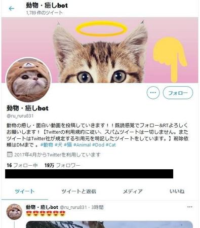 「Twitterの利用規約に従い、スパムツイートは一切しません。またツイートはTwitter社が規定する引用元を明記したツイートをしています。」ということだが…※「動物・癒しbot」Twitterアカウントより