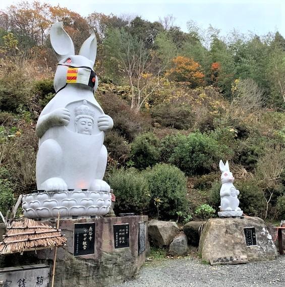 ウサギ観音で知られる佐渡島（新潟県佐渡市）の長谷寺（ちょうこくじ）で、ウサギの多頭飼育崩壊が起きていたことが昨年11月に判明。一時期は約130羽から140羽近くいたという（提供写真:近藤陽子さん）