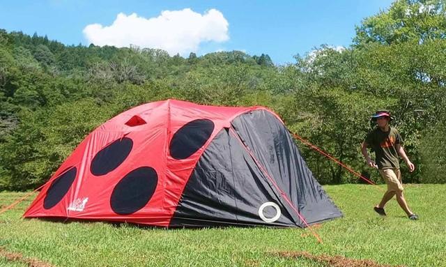 まさか…テントだから「テントうむし」！？キャンプ場で視線クギ付け！巨大テントウムシのテント「テンテン」