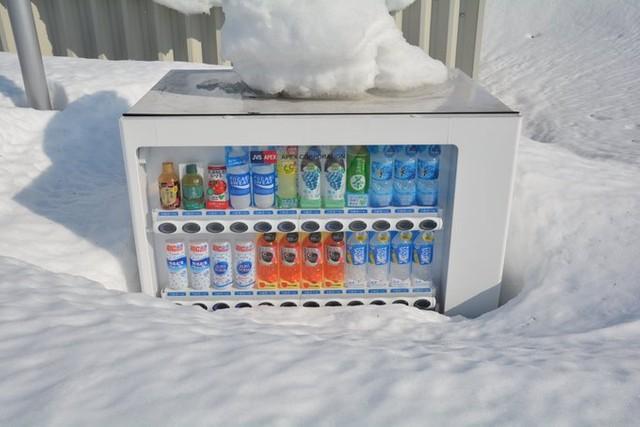 これが北海道の「春の息吹」！？　雪の中から頭を出した自動販売機が話題…「まるで、ふきのとうみたい」　