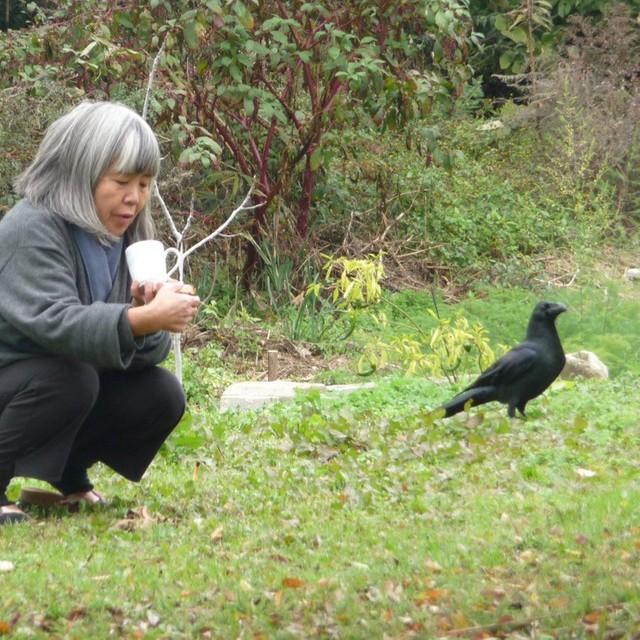 奥さんができた時も、子どもができた時も、亡くなる間際にもあいさつに来て…律儀だったカラスのカンちゃん