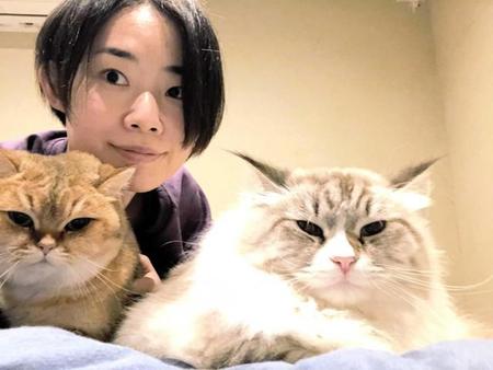 猫に囲まれ幸せいっぱいの津田裕絵