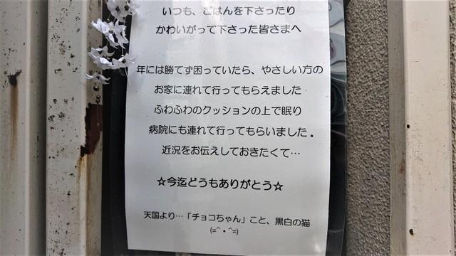 3月6日、東京都港区赤坂のとある商店街を通り掛かった高沢さんが張り紙を発見。そこには、高沢さんの“顔見知り”だった地域猫の「訃報」が記されていた（提供写真）