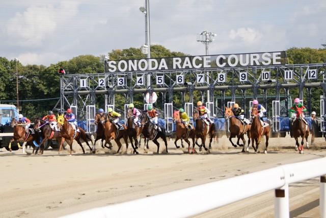 ネタとしか思えない協賛レース名 園田競馬でもできますか 担当者に聞いてみた ライフ 社会総合 デイリースポーツ Online