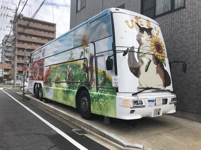 名古屋にある2階建てバスの保護猫カフェ「ひだまり号」。新型コロナ流行で毎月の売り上げは10分の1ほどに落ち込み、運営が苦しいという（提供写真）