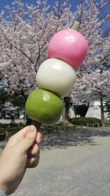 「岡崎の桜まつりと言ったらやっぱコレよ！」 規格外サイズの巨大花見団子が話題に