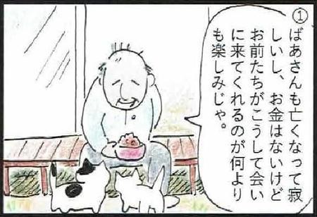 漫画「多頭崩壊を防ぐには」の１コマ目＝作・橋本恵莉子（獣医師）