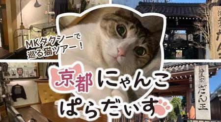 猫好きドライバーさんが企画「京都にゃんこぱらだいす」（MKタクシー提供）