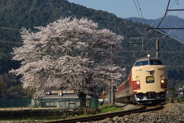 兵庫県丹波市山南・福知山線谷川駅付近 ２０１１年４月中旬撮影