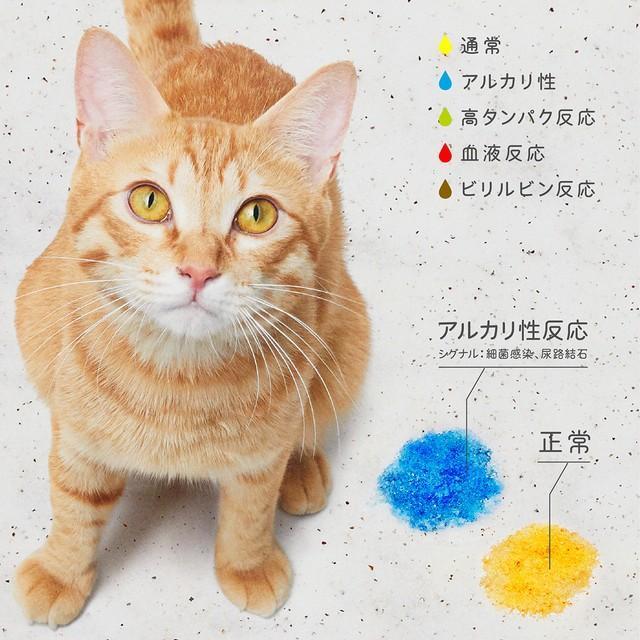 5色に変化する猫砂　色で猫の体調を毎日チェック！「私にとっては安心砂」「猫が慣れればデメリットがない」