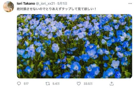 「絶対損させないのでとりあえずタップして見て欲しい！」と投稿した写真（Iori Takanoさん提供）