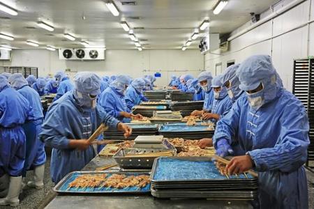 中国河北省・食品加工工場での生産ラインの様子（YuanGeng/stock.adobe.com）