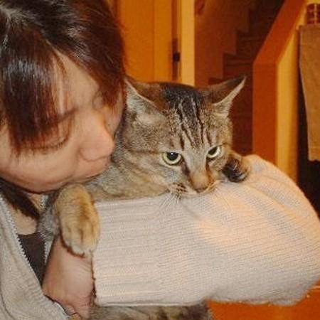 山下さんが保護活動を始めたきっかけは、職場周辺で増えた野良猫たちのTNR活動だった（提供写真）